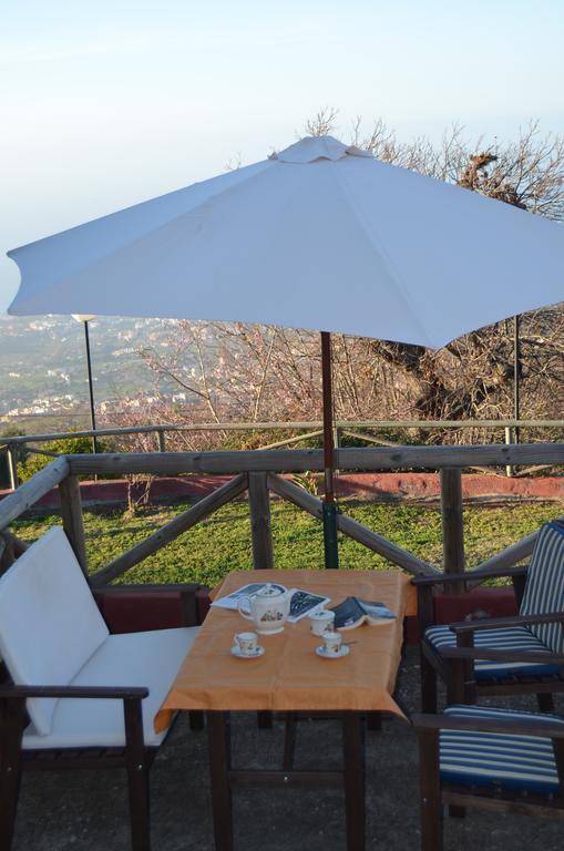 La Orotava-Casa Rural Los Nardos Montijos Ngoại thất bức ảnh